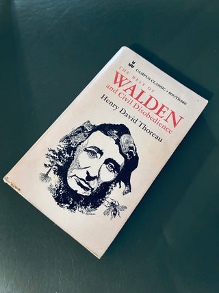 The Best of Walden and Civil Disobedience by Henry David Thoreau