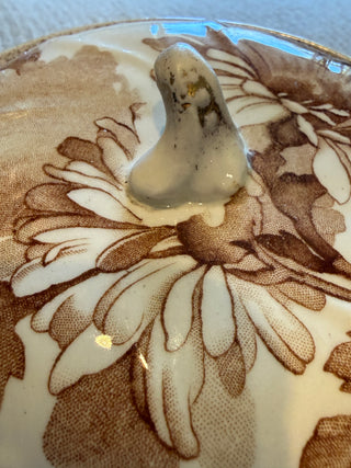 Antique Ridgways England Saskia Lidded Dish