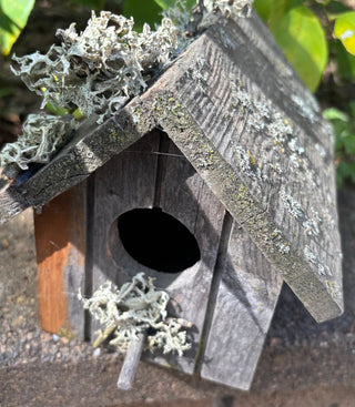 Vintage Cedar Birdhouse with Moss RCD