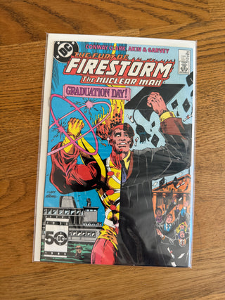 Comic Book: The Fury of Firestorm Issue 40