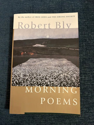 Morning Poems by Robert Bly
