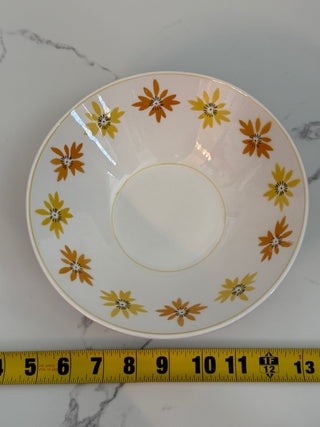Vintage Mikasa Cera-Stone “Robin” Serving Bowl