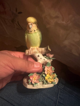 Vintage Royal Adderley Budgerigar Bird Figurine, Fine Bone China, England