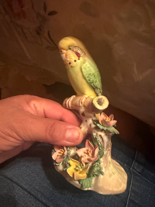 Vintage Royal Adderley Budgerigar Bird Figurine, Fine Bone China, England