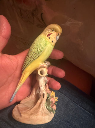 Vintage Royal Adderley Budgerigar Bird Figurine, Fine Bone China, England