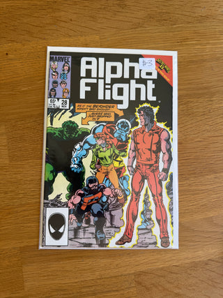 Comic Book: Alpha Flight Issue 28