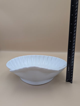 White Scallop Shell Bowl