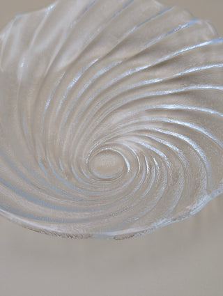Textured Glass Shell Plates Set of 6