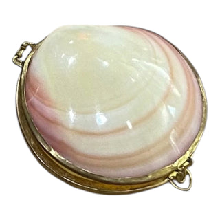 Shell Pocket Purse