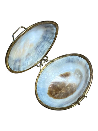 Shell Pocket Purse 2”