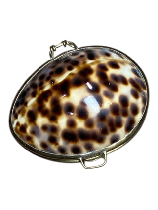Shell Pocket Purse 2.25”