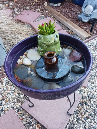 Outdoor Bird Bath with Solar Fountain & Frog with Faux Succulents