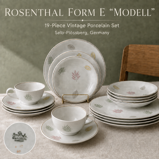 19pc Rosenthal Form E Modell Fine China Set Raymond Loewy Leaf Germany