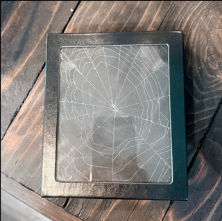 Genuine Spiderweb In Riker Mount