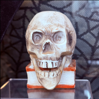 Antique 1930’s Rare Large Bisque Skull on Book Nodder Candle/Match Holder