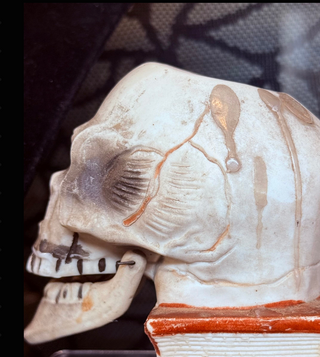 Antique 1930’s Rare Large Bisque Skull on Book Nodder Candle/Match Holder
