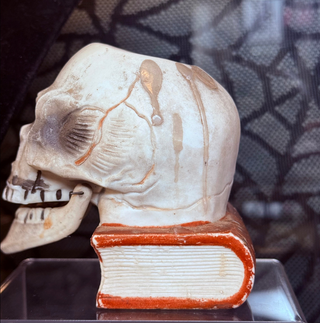 Antique 1930’s Rare Large Bisque Skull on Book Nodder Candle/Match Holder