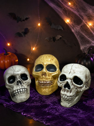 Assorted Gothic Plastic Skull Figurines Aged Bone Halloween Prop Decor