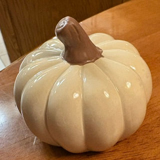 White Ceramic Pumpkin w Brown Stem