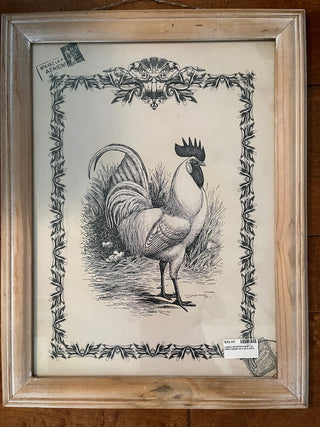 LARGE ROOSTER PRINT IN PINE FRAME BLACK ON CREAM BACKGROUND 20 X 26.5 (KAT)|72003