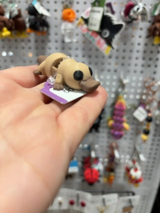 Wiggly Platypus RV