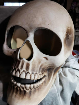 Huge Skull w/ projecter spider web|105276