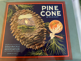 Pine Cone Authentic Citrus Farm Crate Label EC073 MTS|100363