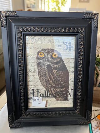 Owl Picture|108918