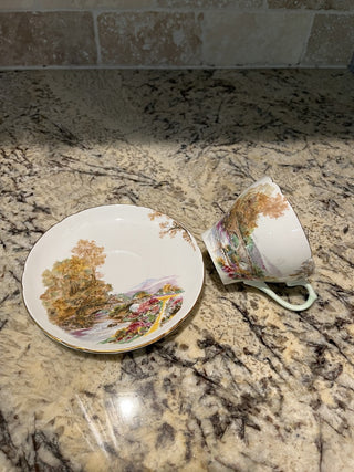 Shelley England Heather Tea Cup & Saucer (19) RCD