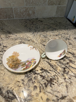 Shelley England Heather Tea Cup & Saucer (19) RCD