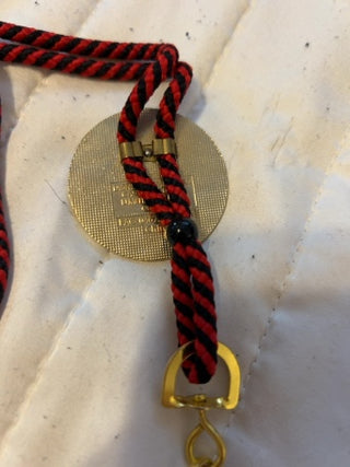 JP Disney Cast Member Exclusive Mickey Mouse Club Bolo Lanyard