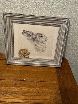 Rabbit Face Picture RCD