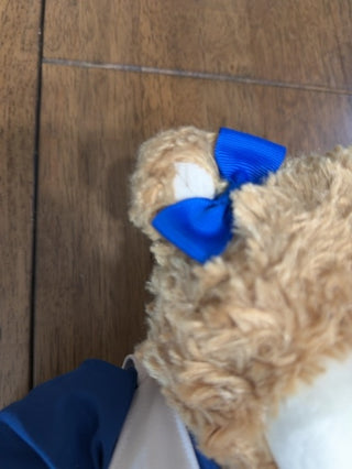 Dallas Cowboys Cheerleaders Bear Abbey Plush Official Forever Collections