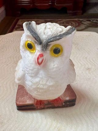 Owl|114206