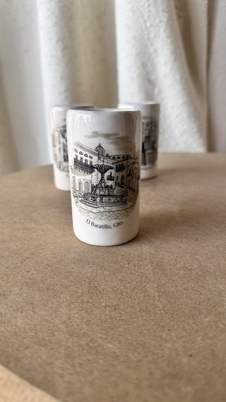 Guanajuato, MEX Tumbler (LZD - RSV)|73465