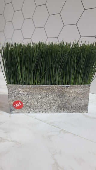 Artificial Plant