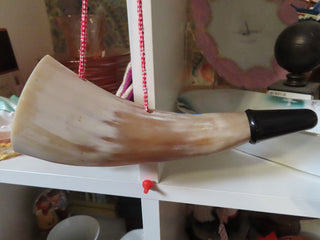 Carved Horn Switzerland MTS