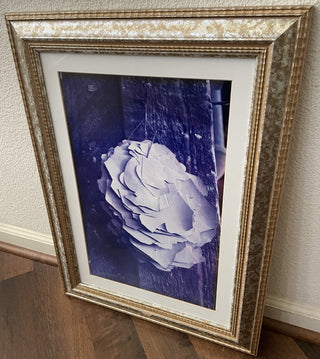 Paper Flower Signed Print Decorative Frame MTS|84049