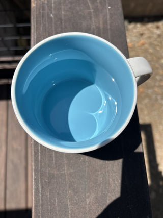 12F Starbucks Coffee Mug New Mexico You Are Here Cup 2015 Hot Air Balloons MTS|67984