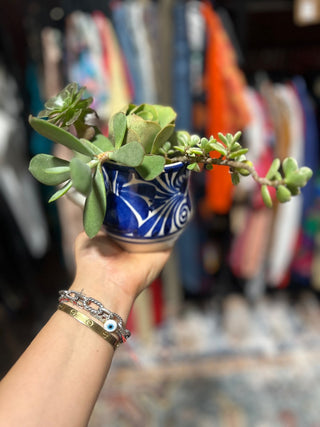 10H Hand painted  blue flower mug with succulents MTS|115931