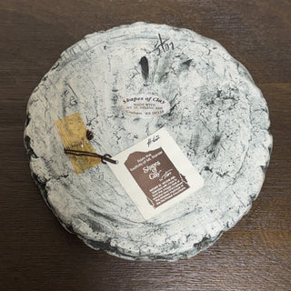 Shapes of Clay Dolphin Plaque MTS|115171