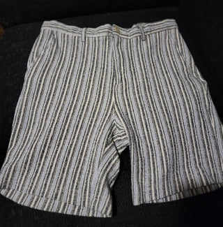 Zara Striped Shorts Size 31 RCD