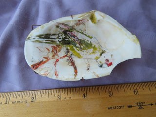 Hand painted shell art MTS|104534