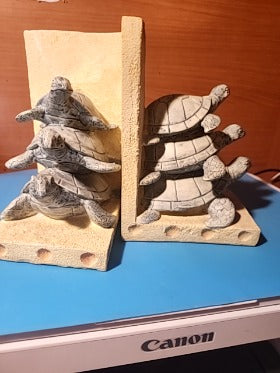 Turtle bookends