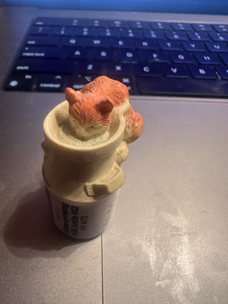 Kitten drinking milk bottle #62 VV MTS