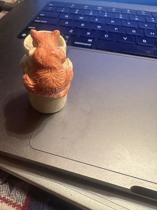 Kitten drinking milk bottle #62 VV MTS