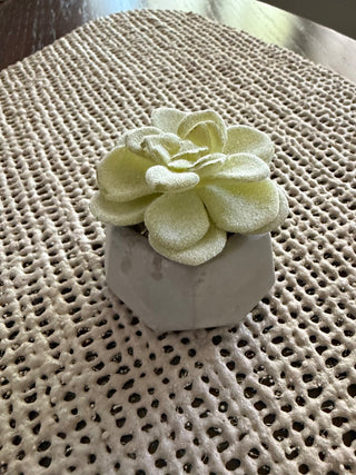 Mini Cactus in Cement Holder RSV|72320