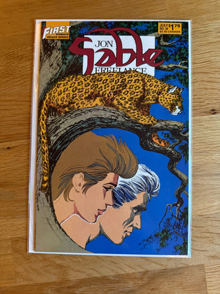 Comic Book: Jon Sable Issue 38