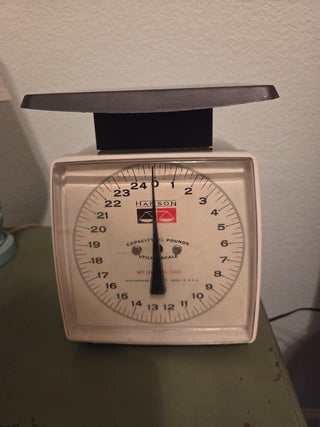 1970's Hanson Utility Scale, White/Black, RCD