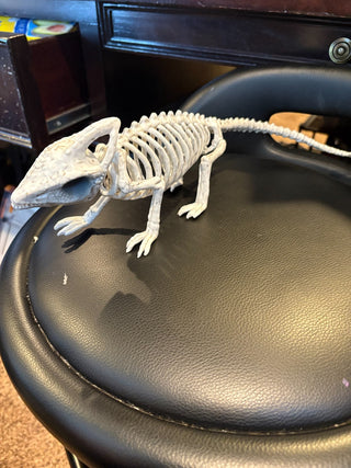Skeleton Lizard w/moveable jaw 14"long, 4.5" tall RCD|115453